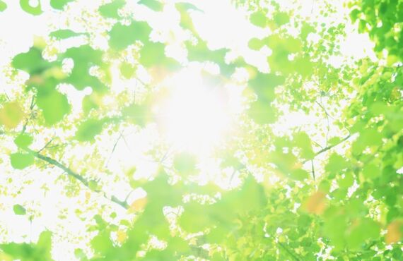 御社のビジョンを実現する評価制度のコンサルティングを行います